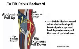 pelvis-tilted-back